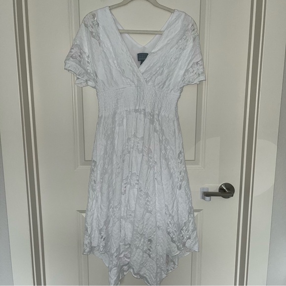 Rabbit Design White Short Sleeve High-Low Fit + Flare Lace Dress - Picture 4 of 6